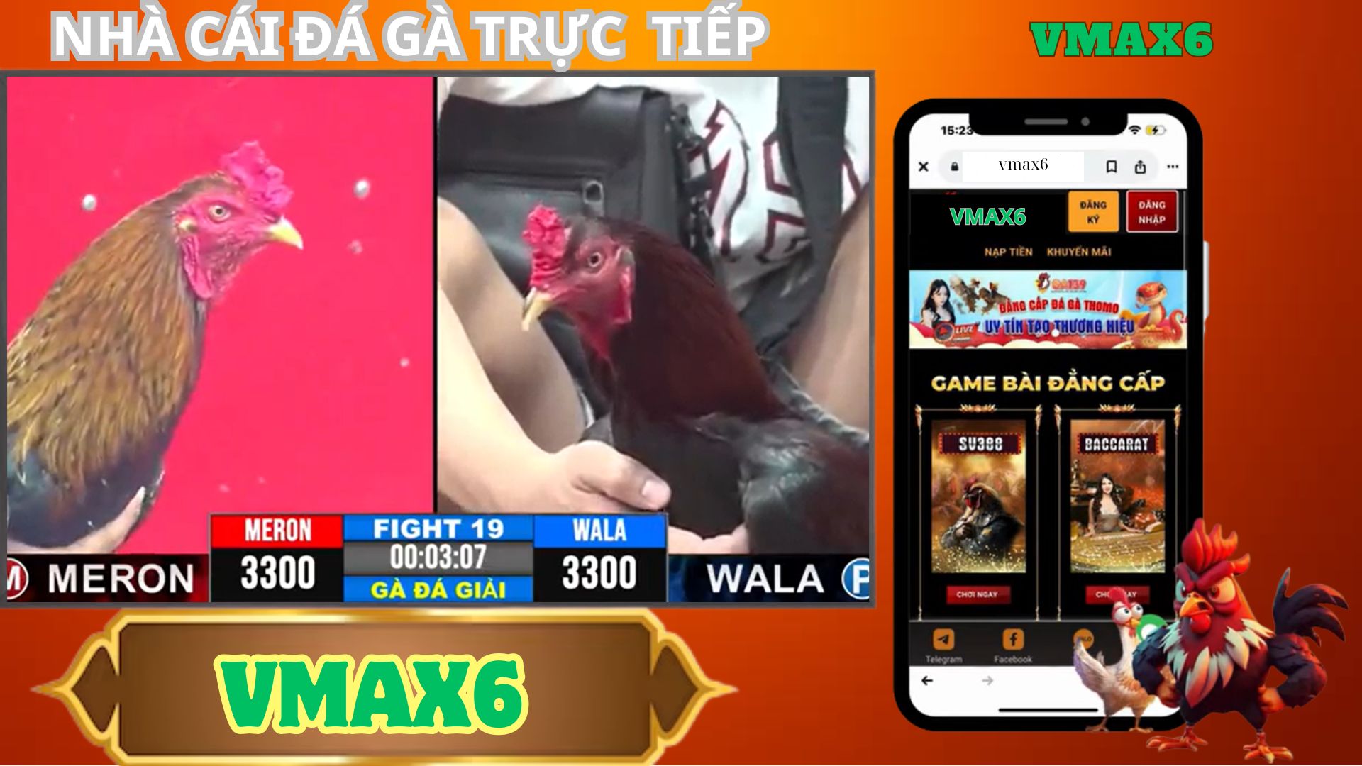 Vmax6 Đá Gà Trực Tiếp: Giải Trí Đỉnh Cao Trong Thế Giới Thể Thao Đá Gà