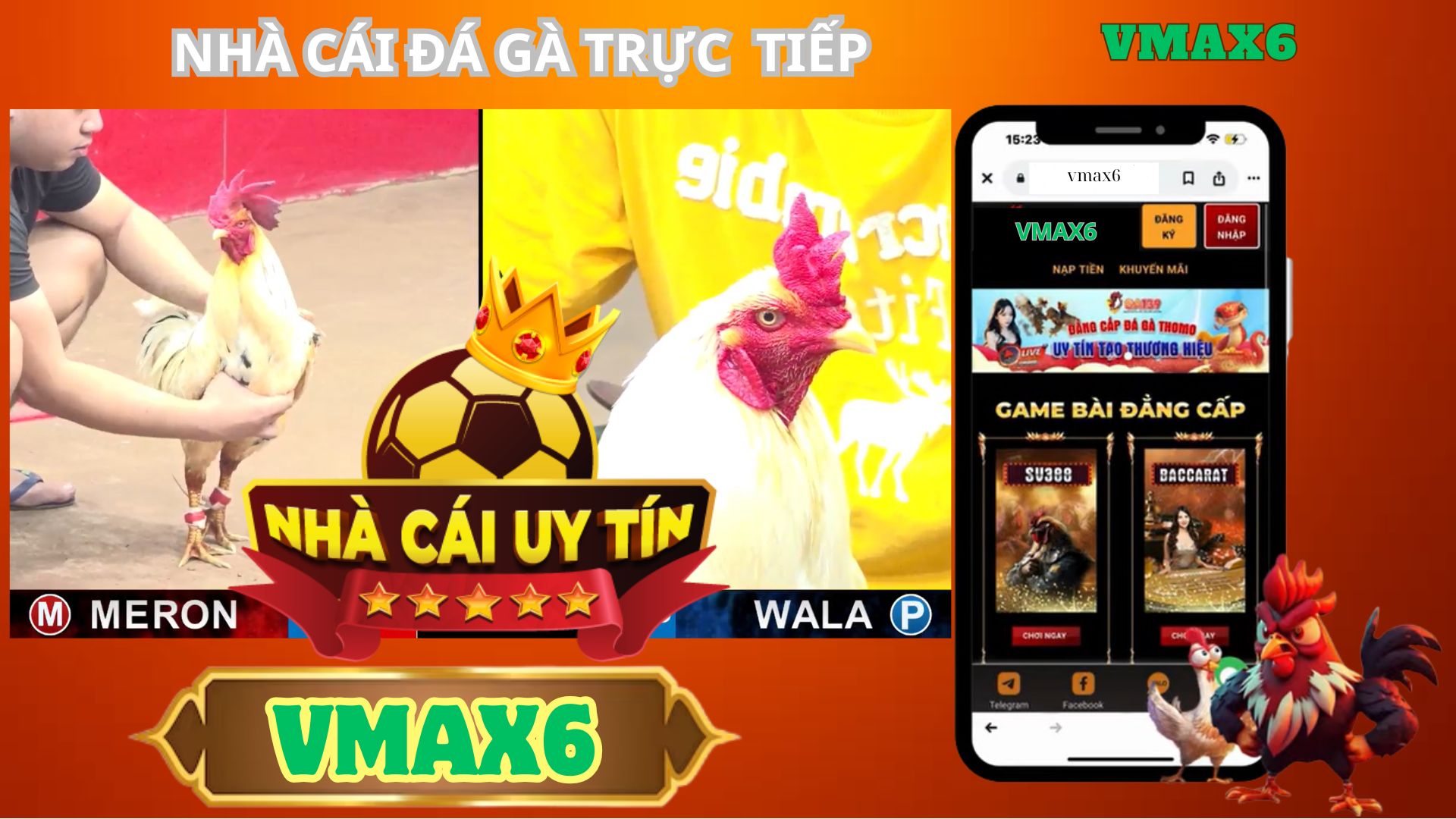 Giới thiệu về Nhà Cái Đá Gà Trực Tiếp Vmax6