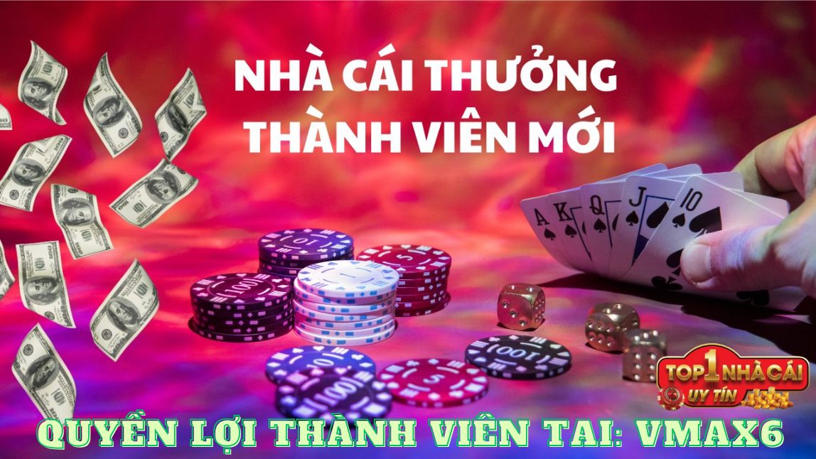 Các Quyền Lợi Cụ Thể Của Thành Viên Tại Vmax6